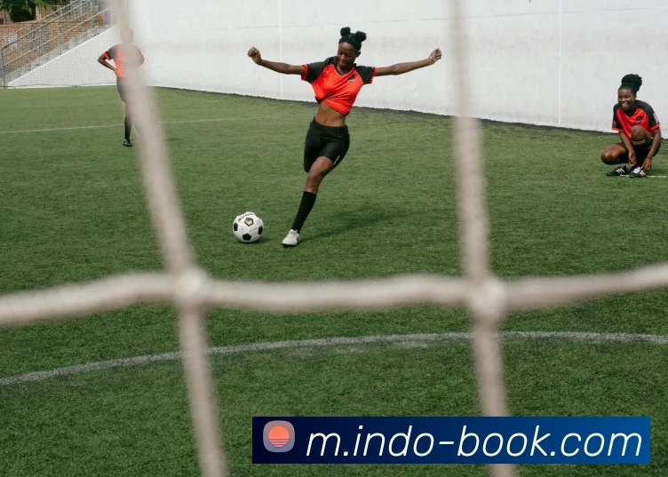 宝威体育APP 封面图